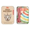 Shop All^Kikkerland Kobe Dog Birthday Kit - Little Painter Art | Exploring the Endless Possibilities of Art