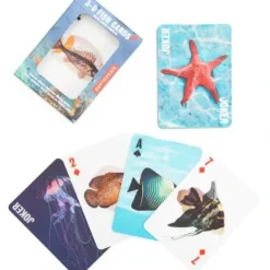 Shop All^Kikkerland Playing Cards - 3D Underwater Marine Life - Little Painter Art | Exploring the Endless Possibilities of Art