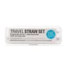 Brush^Kikkerland Reusable Travel Straw Set - Little Painter Art | Exploring the Endless Possibilities of Art