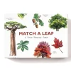 Shop All^Laurence King Match A Leaf: A Tree Memory Game - Little Painter Art | Exploring the Endless Possibilities of Art