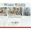 Hot^Leanin' Tree Holiday Boxed Cards 20pk Winter Wildlife Assortment - Little Painter Art | Exploring the Endless Possibilities of Art