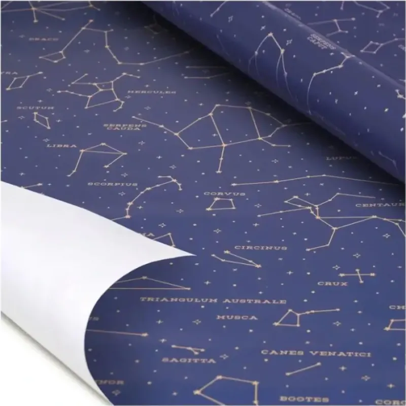 Shop All^Legami Gift Wrap Roll - Stars - Little Painter Art | Exploring the Endless Possibilities of Art