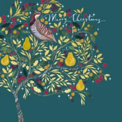 Hot^Ling Design Boxed Holiday Cards 10pk - A Partridge In A Pear Tree - Little Painter Art | Exploring the Endless Possibilities of Art