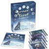 Hot^Lunar Tarot by Jayne Wallace - Little Painter Art | Exploring the Endless Possibilities of Art