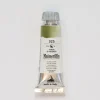 Pigment^Maimeri Blu 12ml 325 Hooker's Green - Little Painter Art | Exploring the Endless Possibilities of Art