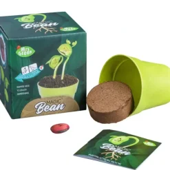 Shop All^Mrs. Green Garden Kit - Magic Bean - Little Painter Art | Exploring the Endless Possibilities of Art