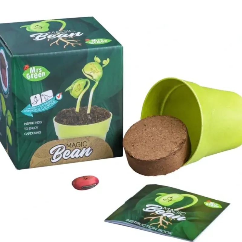 Shop All^Mrs. Green Garden Kit - Magic Bean - Little Painter Art | Exploring the Endless Possibilities of Art