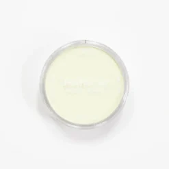 Pigment^PanPastel Bright Yellow Green Tint - Little Painter Art | Exploring the Endless Possibilities of Art