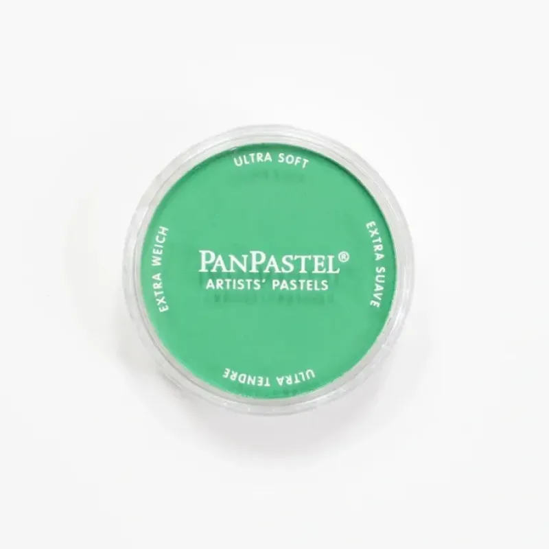 Pigment^PanPastel Permanent Green - Little Painter Art | Exploring the Endless Possibilities of Art